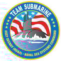 PEO Subs